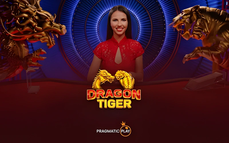 Stake Dragon Tiger Live delivering simple yet intense card battles.