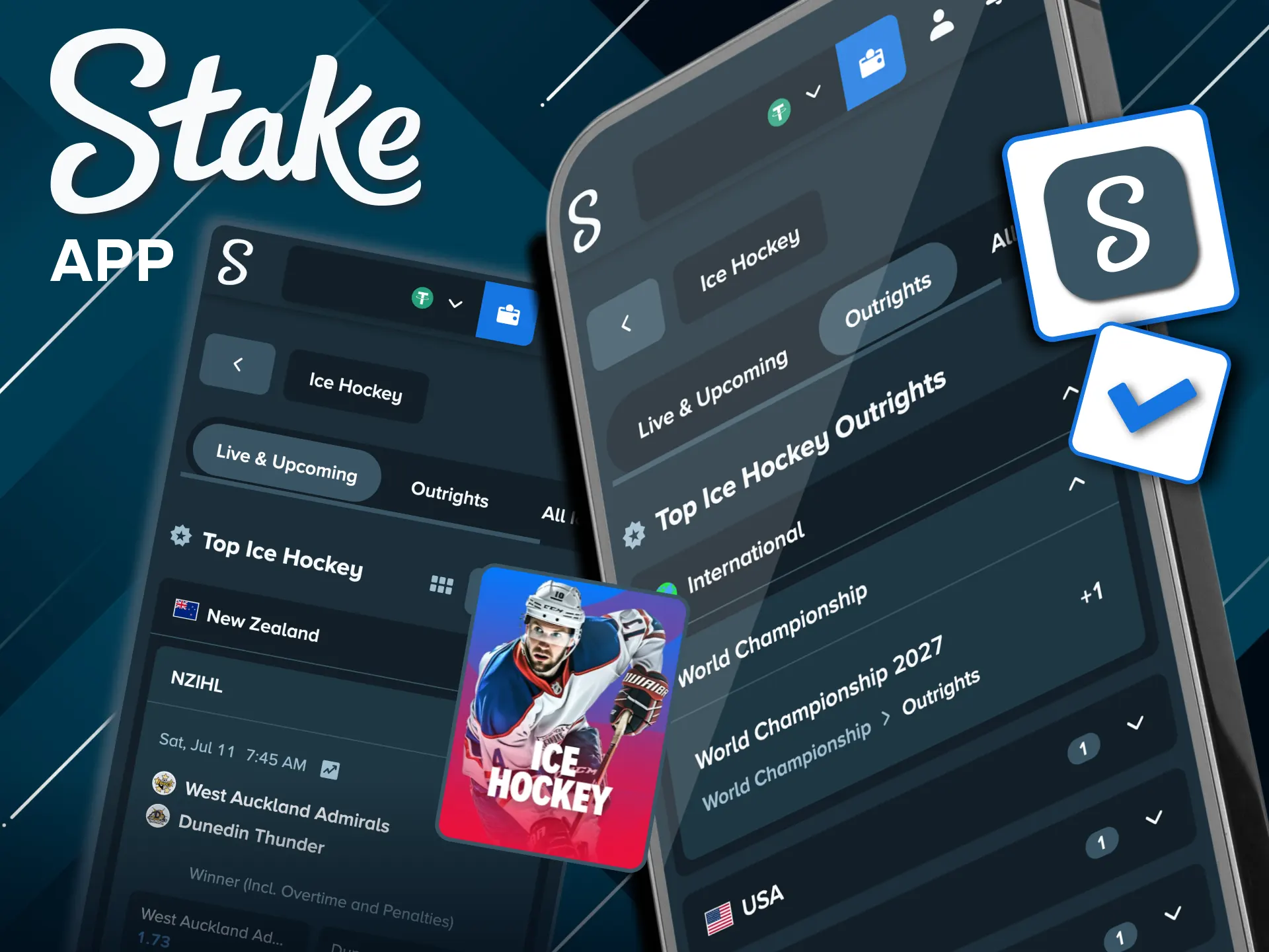 Stake app offers full ice hockey betting in India.
