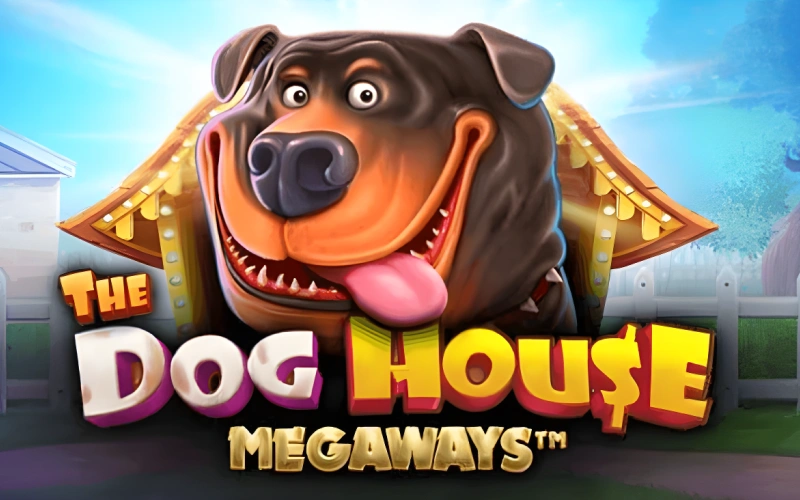 Enjoy Stake Dog House Megaways with cascading reels.